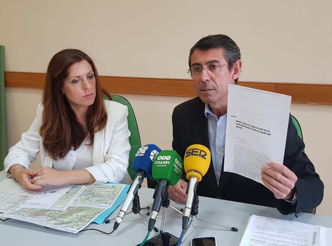 La Junta denuncia la “dejadez y falta de previsión” del Gobierno socialista en la lucha contra la avispilla del castaño