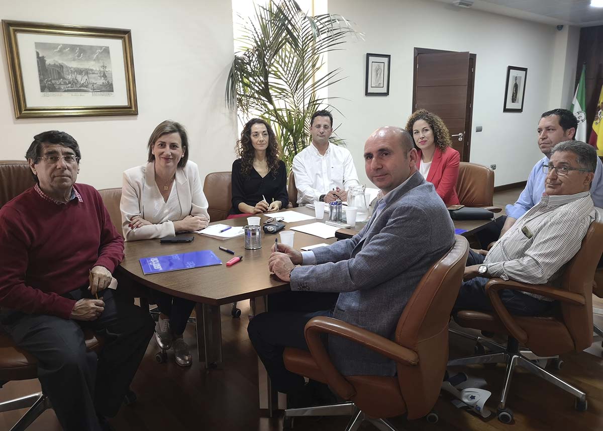 El PSOE reclamará al Gobierno andaluz que mantenga las ayudas al Centro Comercial Abierto de Ronda
