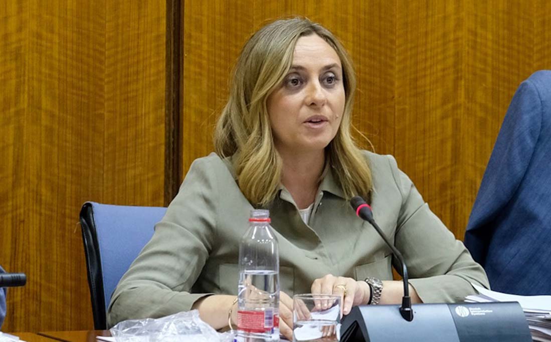 La consejera de Fomento de la Junta, Marifrán Carazo, ha anunciado hoy las inversiones para las comunicaciones de la Serranía.