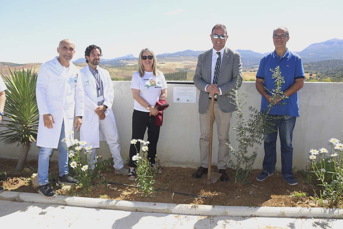 Momento de la plantación del olivo en homenaje a los donantes y a sus familiares.
