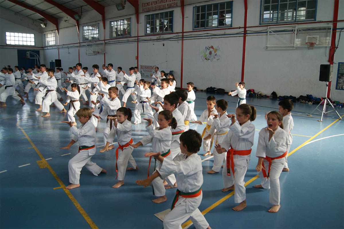 Más de cien alumnos participaron en la gala de fin de curso con una exhibición.