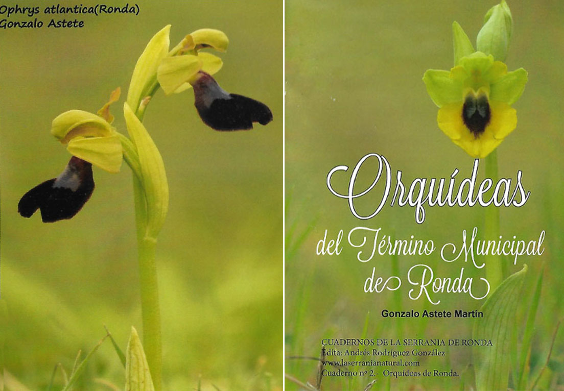 Portada y contraportada de este interesante cuaderno sobre las orquídeas de Ronda.