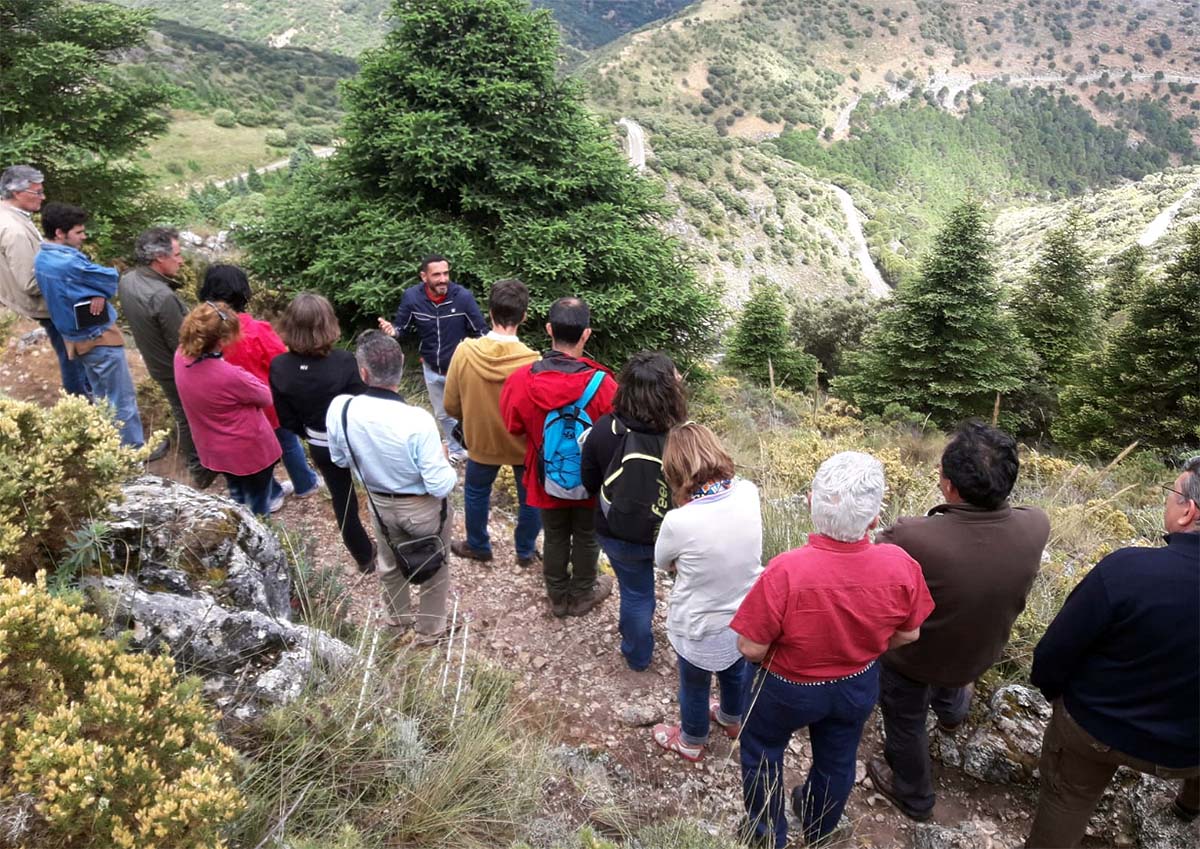 El turismo medioambiental es otra de las ofertas que ofrece Ronda.