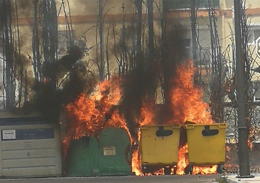 Las llamas han calcinado veinte cipreses, contenedores y han dañado a un vehículo que estaba estacionado. Foto Prudencio Nieto de Molina.