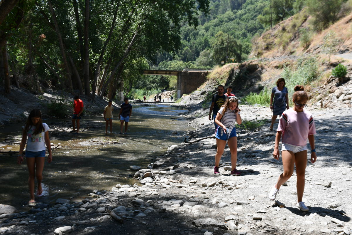 Ecologistas en Acción denuncia la «deforestación continuada» en la ribera del río Genal