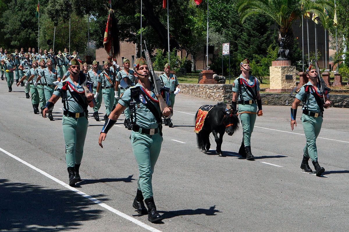 Momento del desfile militar que cerró el acto.