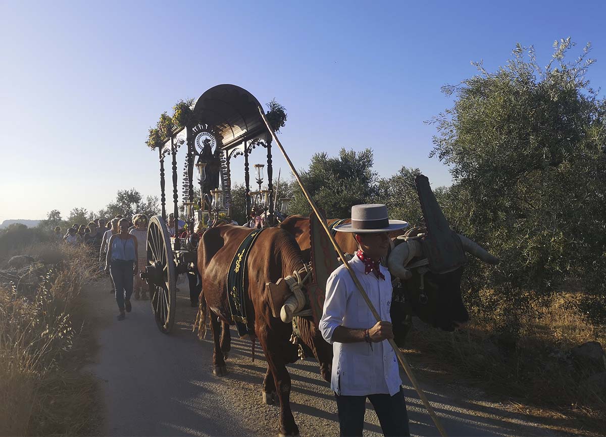 Momento en el que La Virgen de la Cabeza abandona el carril de la ermita para adentrarse en Ronda.