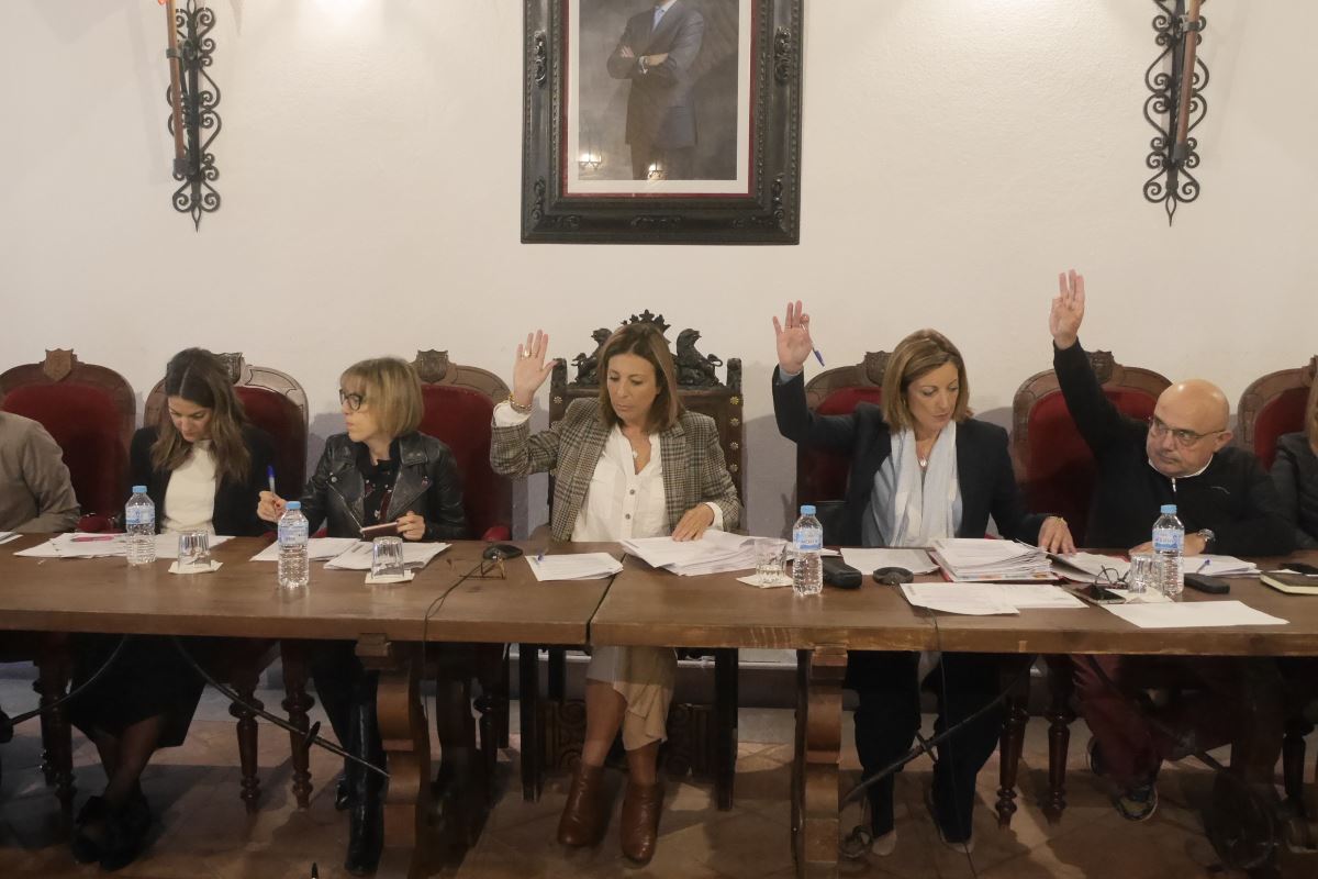 Votación de uno de los puntos del día.