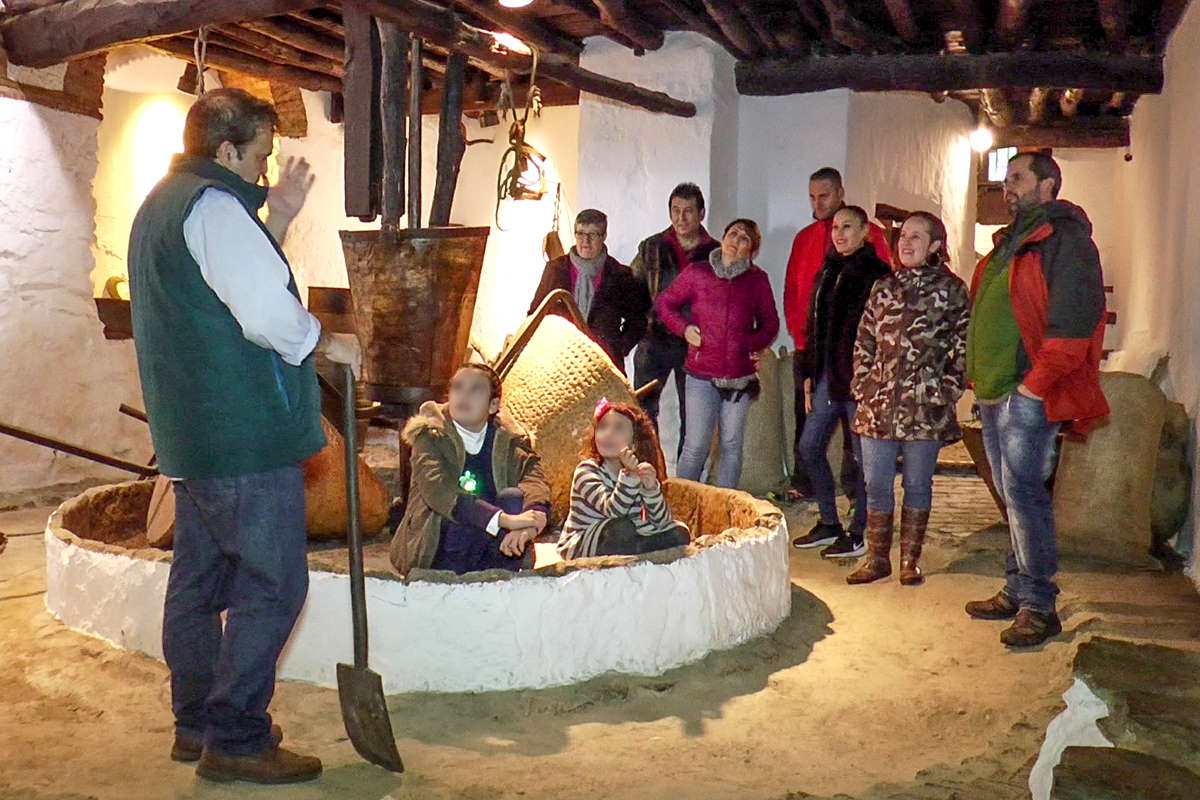 Una de las visitas realizadas a una antigua almazara.