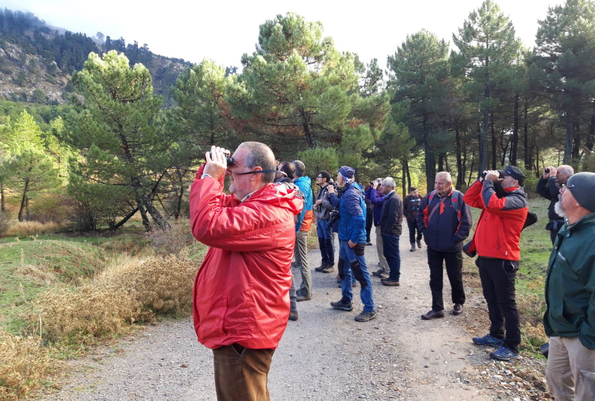 Esta actividad turística está cada vez más demandada por los aficionados a la observación de aves.
