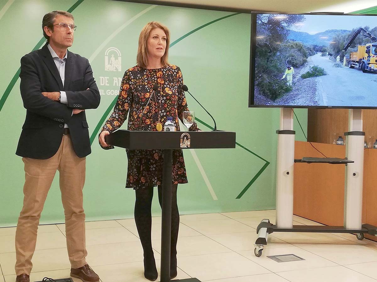 La delegada territorial de Fomento, Infraestructuras y Ordenación del Territorio, Carmen Casero, ha dado a conocer estas inversiones.