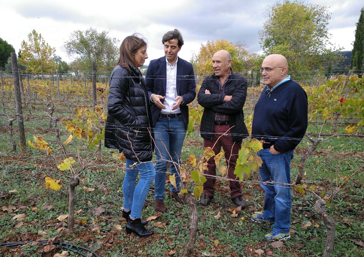 El candidato por Málaga junto a la alcaldesa en un viñedo de Ronda.