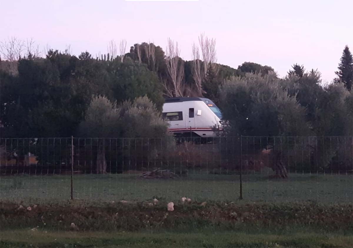 Momento en el que uno de los trenes ha parado la marcha tras el accidente. Foto Cristóbal Cantos.