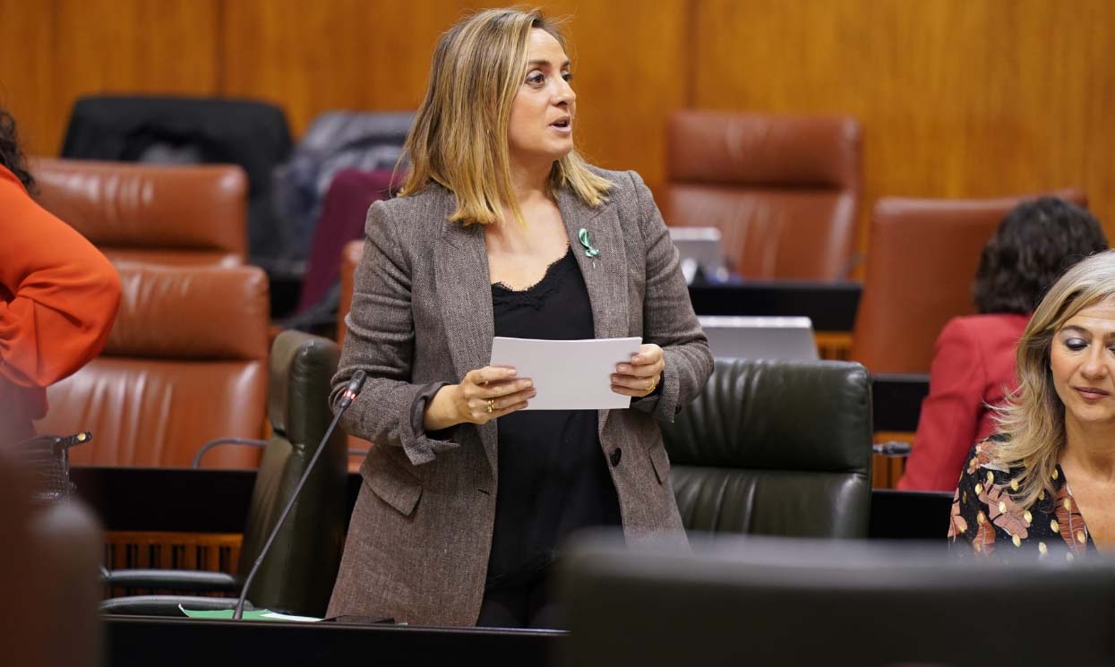 La consejera de Fomento ha desgranado las inversiones para las carreteras de la provincia en el Parlamento andaluz.