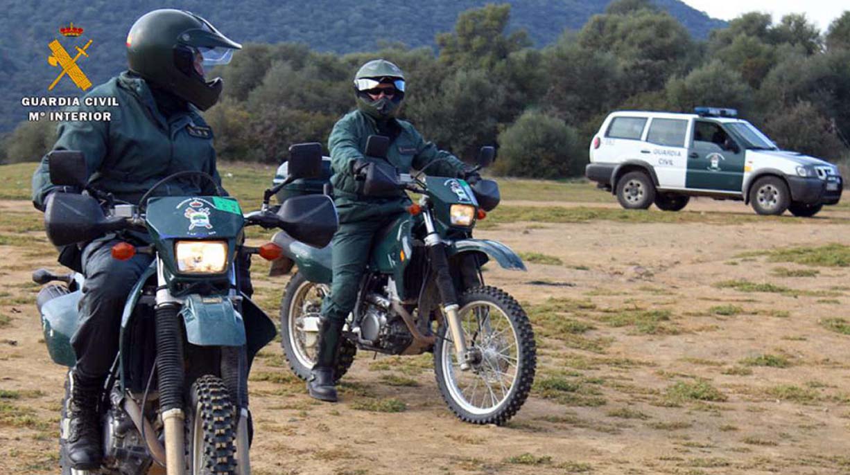 Imagen de un operativo de la Guardia Civil actuando en parajes llenos de vegetación.