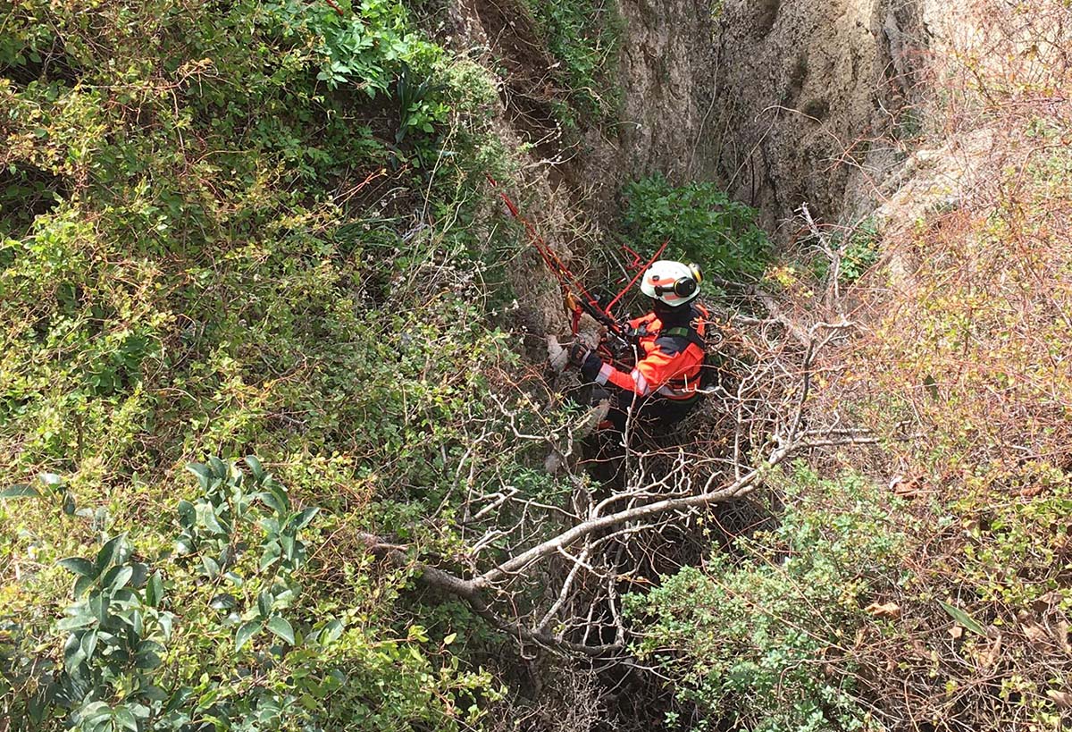Momento en el que uno de los bomberos del operativo rescata a Lolo.