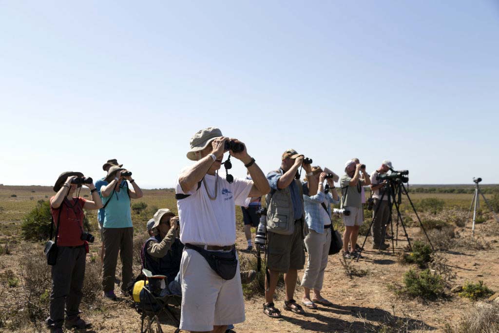 Esta actividad turística está cada vez más demandada por los aficionados a la observación de aves.