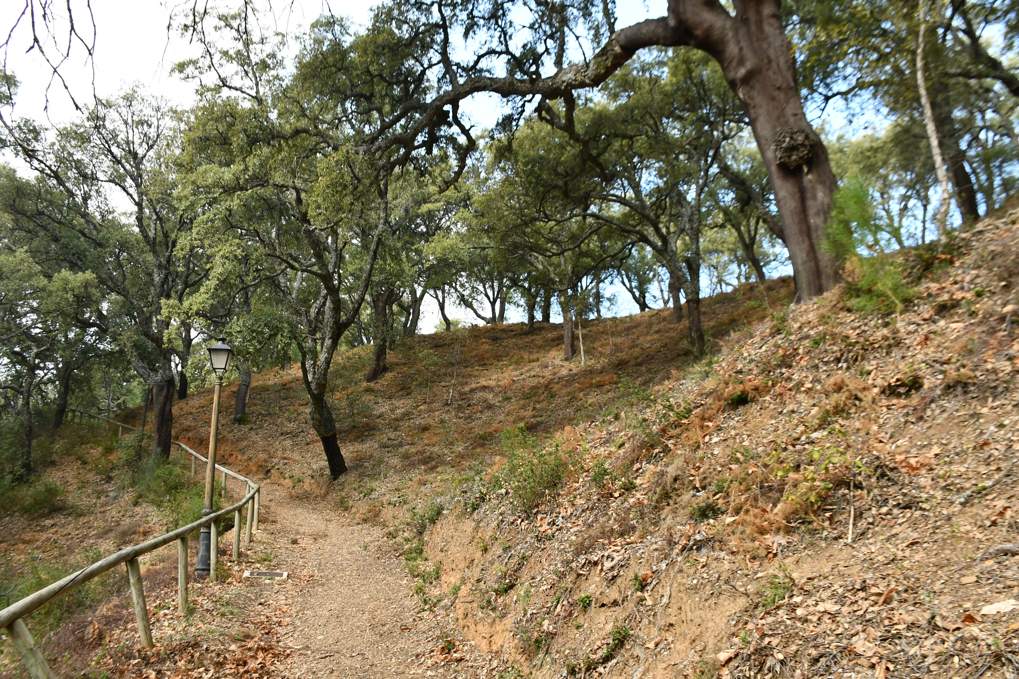 El paraje.