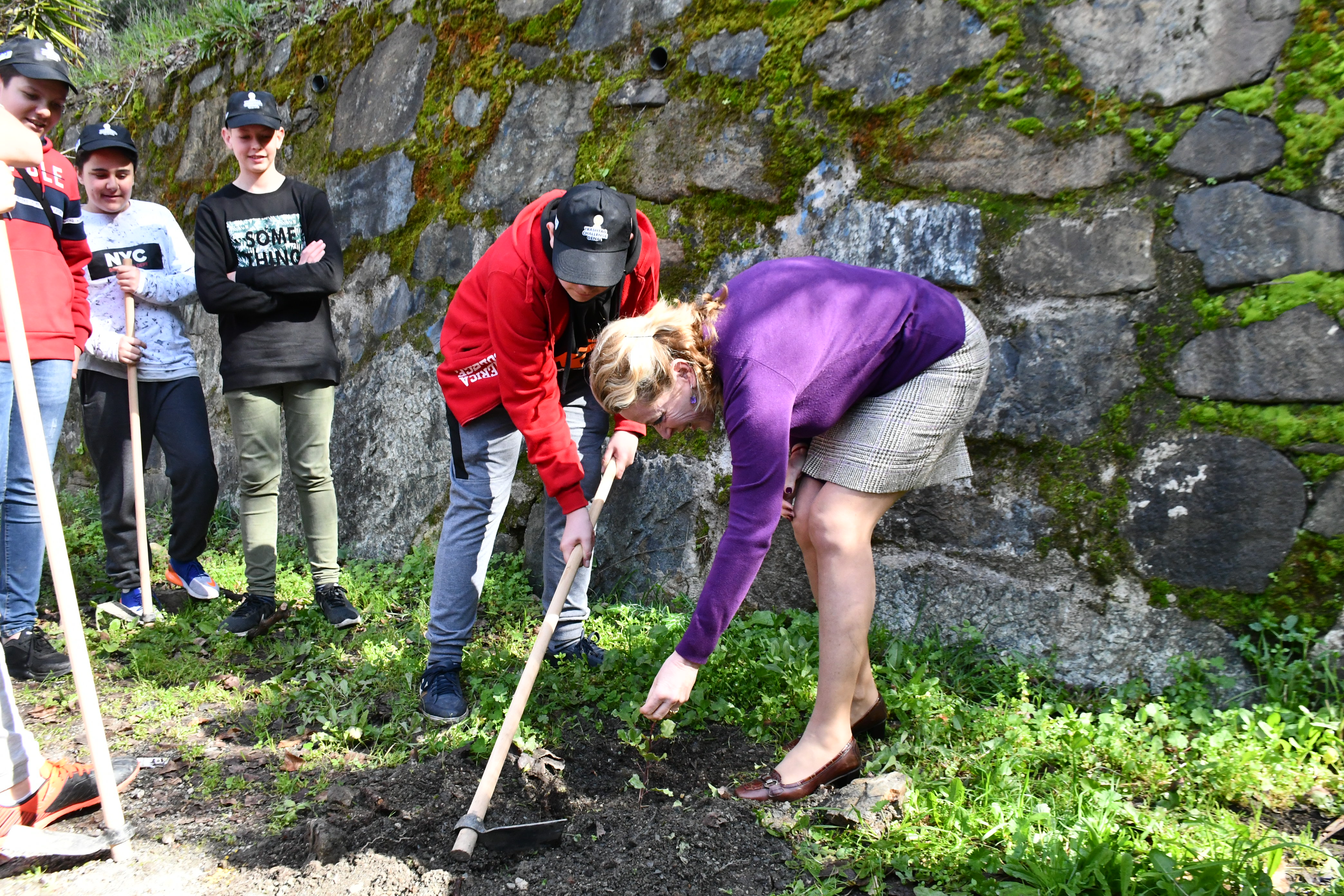 Los árboles han sido plantados por más de 150 jóvenes del Valle del Genal.
