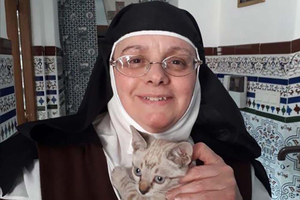 La madre Jennifer junto a su gatito en el convento rondeño.