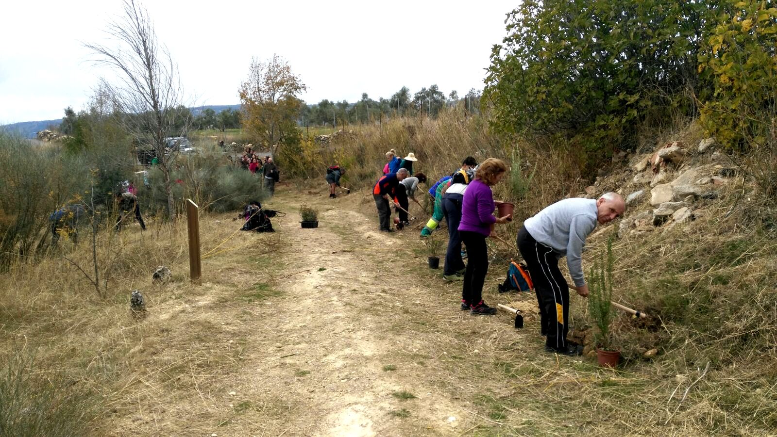 Imagen de una de las plantaciones que se están realizando en la provincia por parte de Diputación.