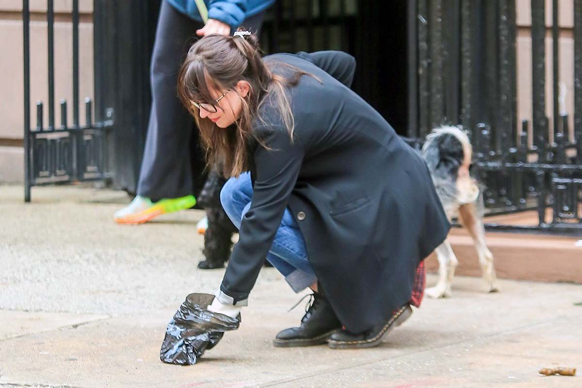 Una mujer retira los excrementos de su perro.