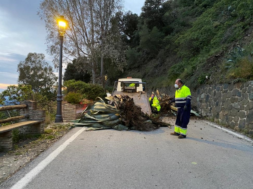Un equipo de Vías y Obras de la Diputación despejó la calzada.