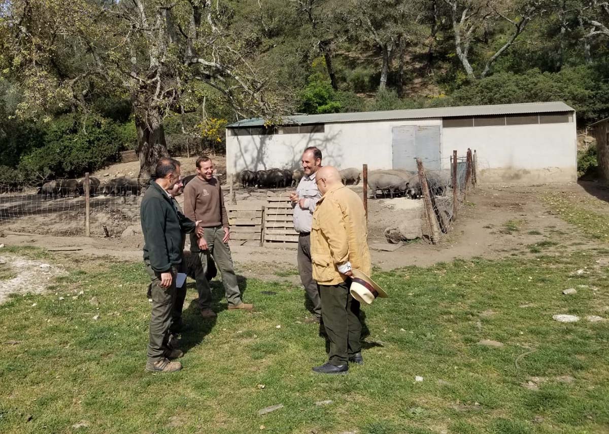 El concejal delegado de Agricultura y Ganadería visitó ayer Los Montes de Propios.