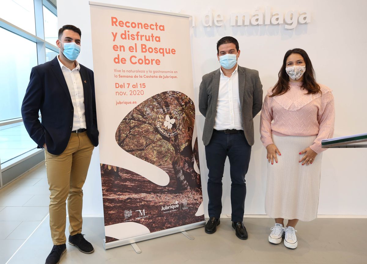 La presentación de las jornadas sobre la castaña se ha celebrado en la Diputación de Málaga.