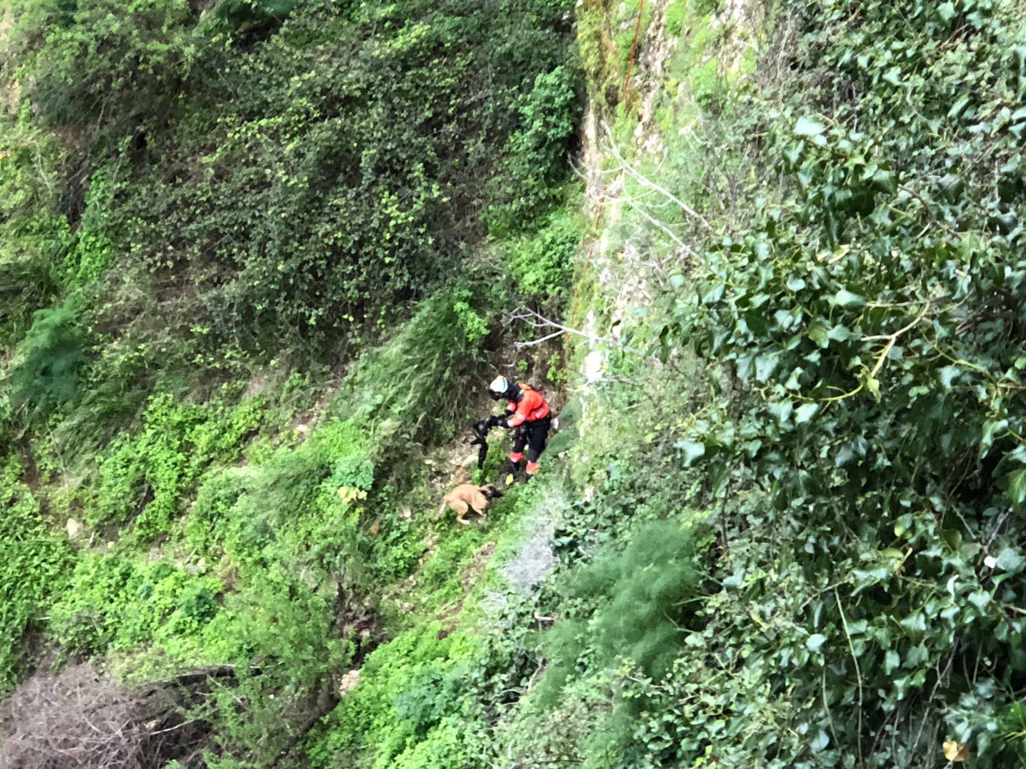 Las labores de rescate han sido complicadas.