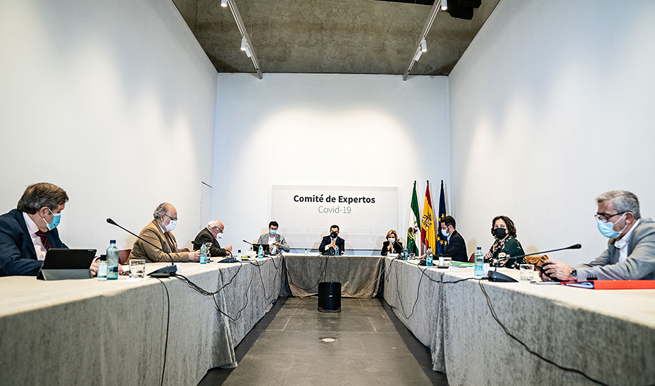Reunión de la Comisión de Expertos celebrada este miércoles.
