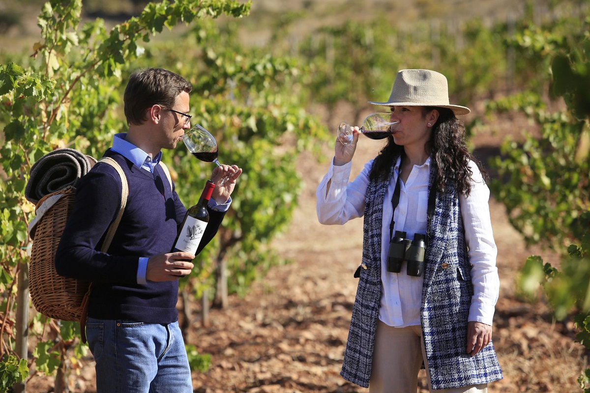 La Ruta del Vino de Ronda opta a ser elegida como la mejor de España