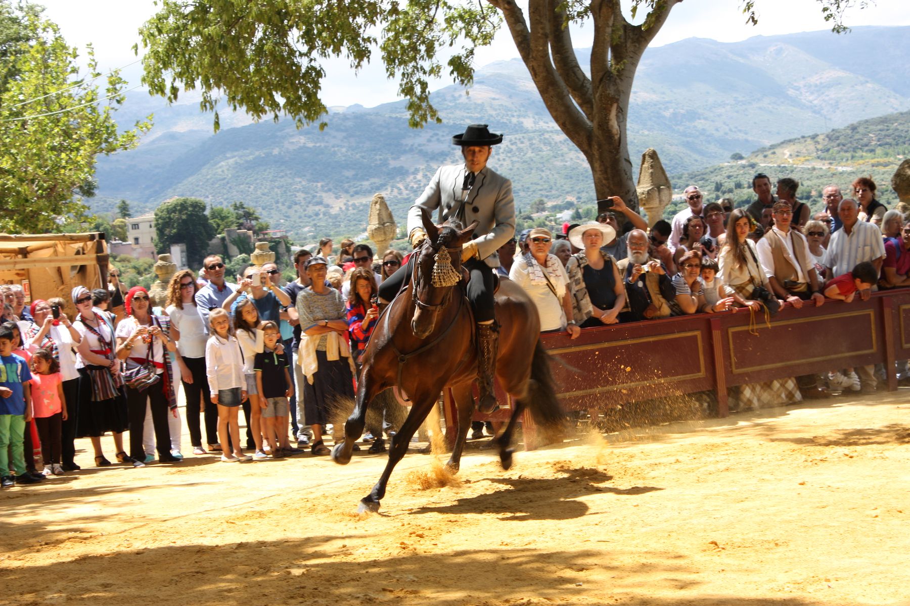 Ronda Romántica y el mundo del caballo van de la mano.