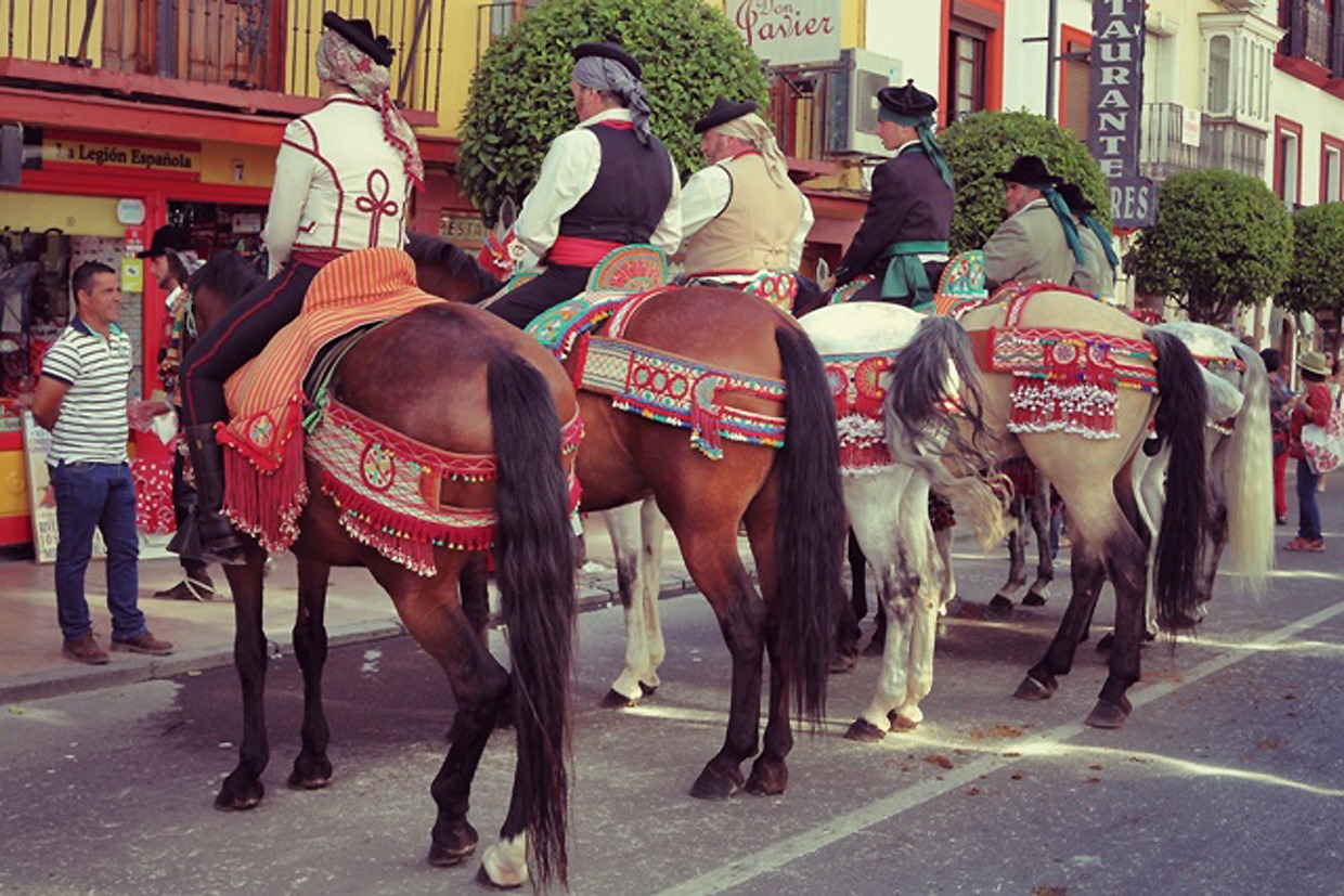 Ronda Romántica y el mundo del caballo van de la mano.