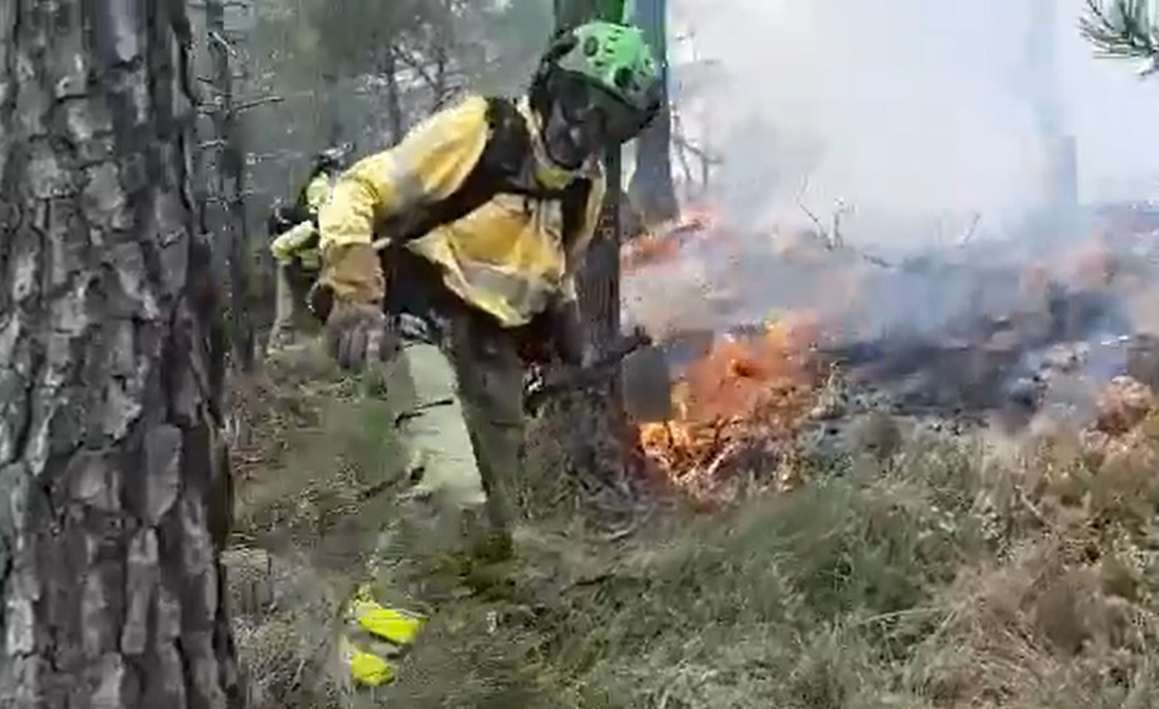 El Infoca controla un incendio que se ha declarado este sábado en el término de Genalguacil
