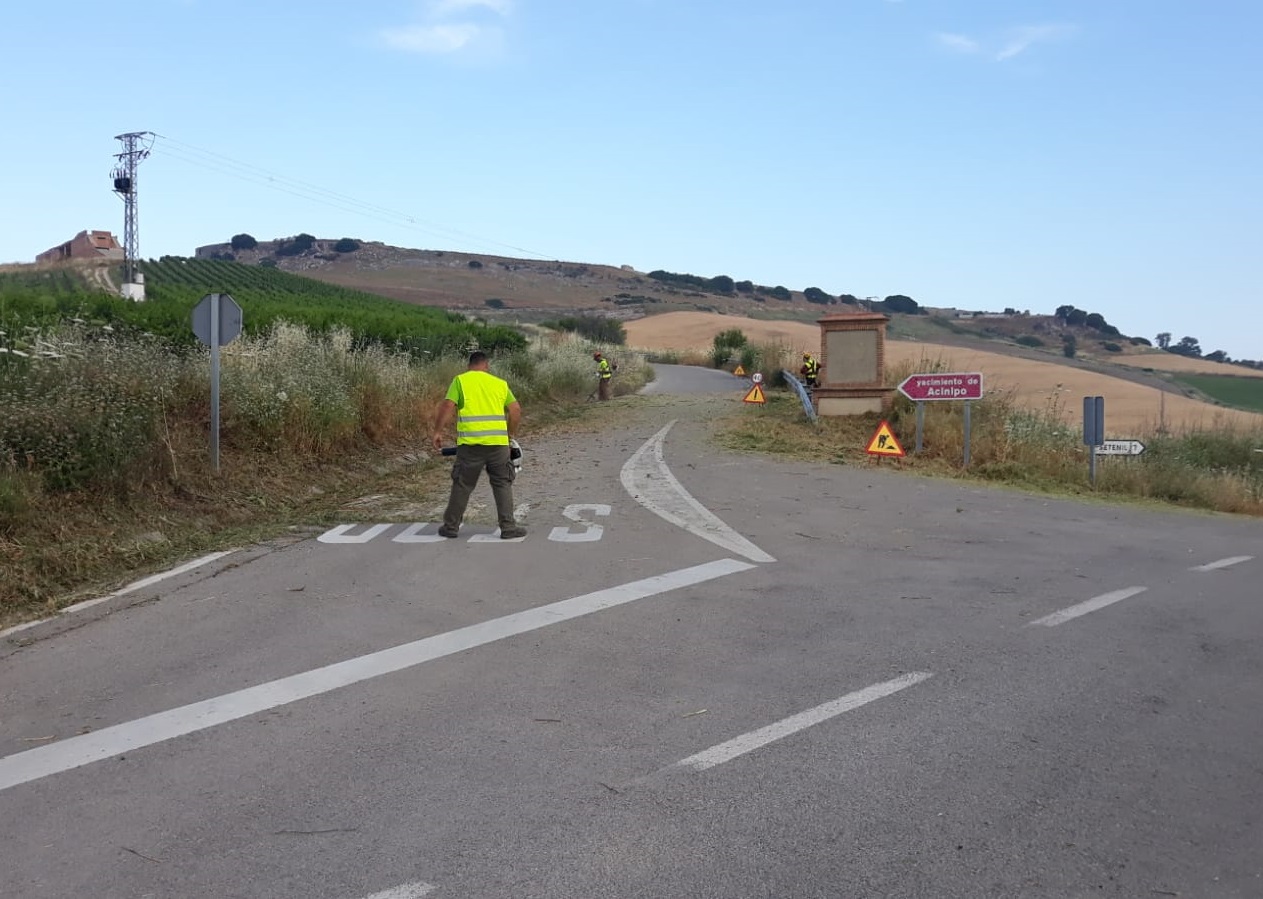 Los trabajos de desbroce se han iniciado en los accesos al yacimiento de Acinipo.
