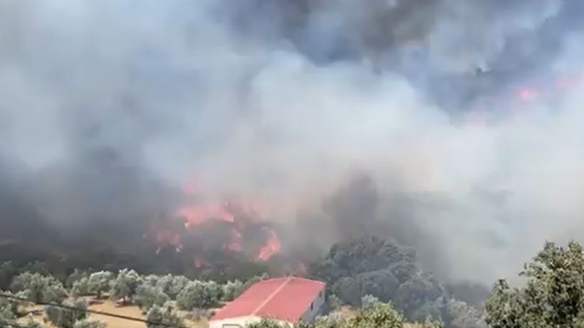 El fuego ha generado llamas de gran altura y una gran humareda.