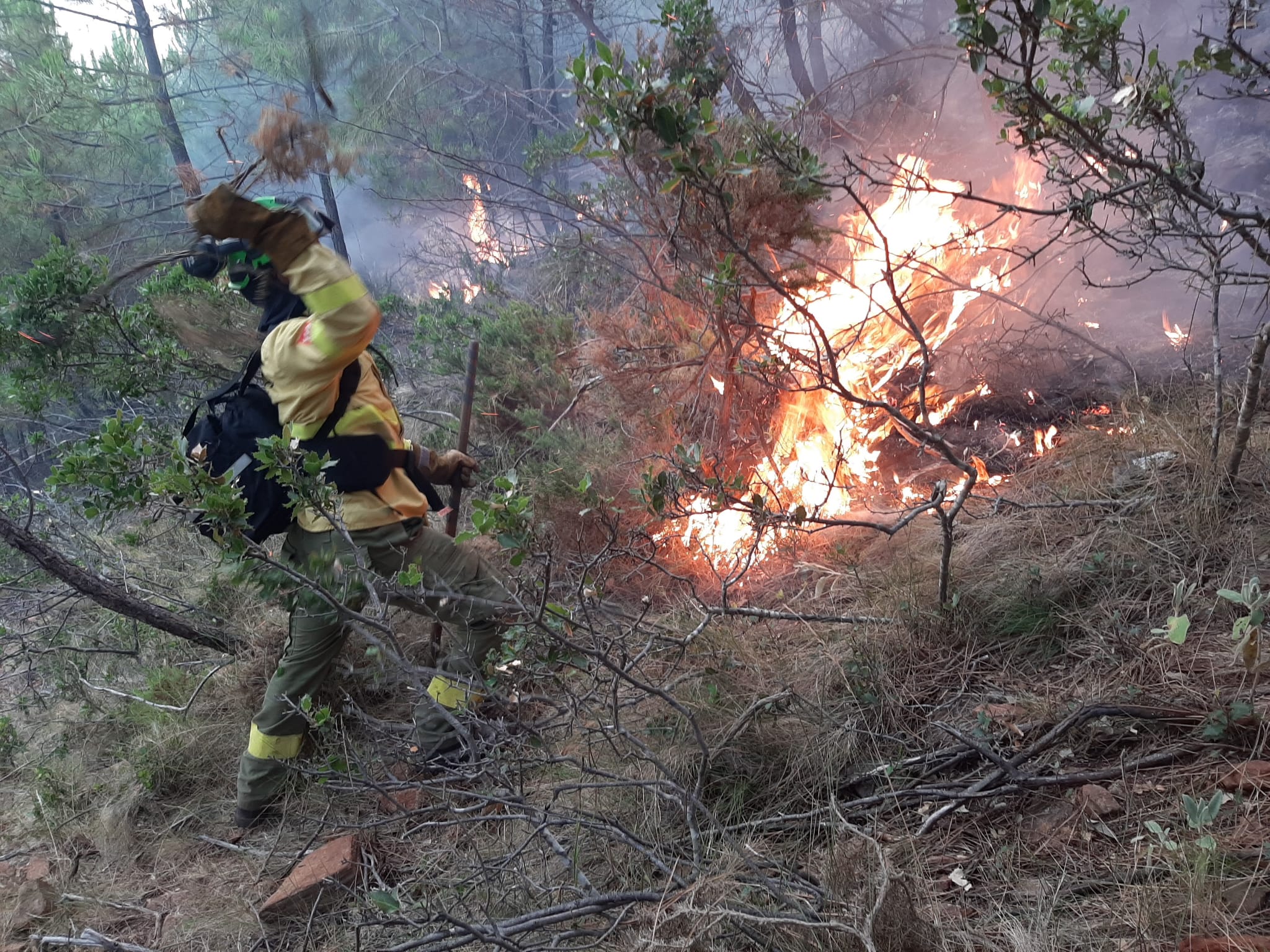 Un bombero forestal apanando las llamas en el términio de Jubrique.
