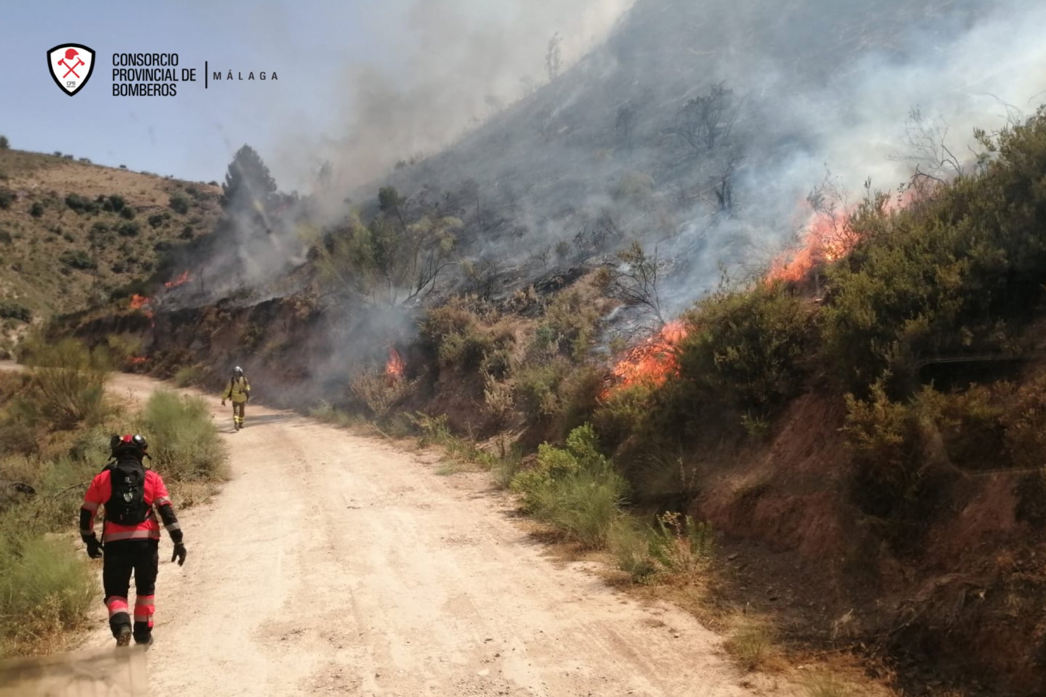 Miembros del Infoca y bomberos están trabajando en la extinción de las llamas.