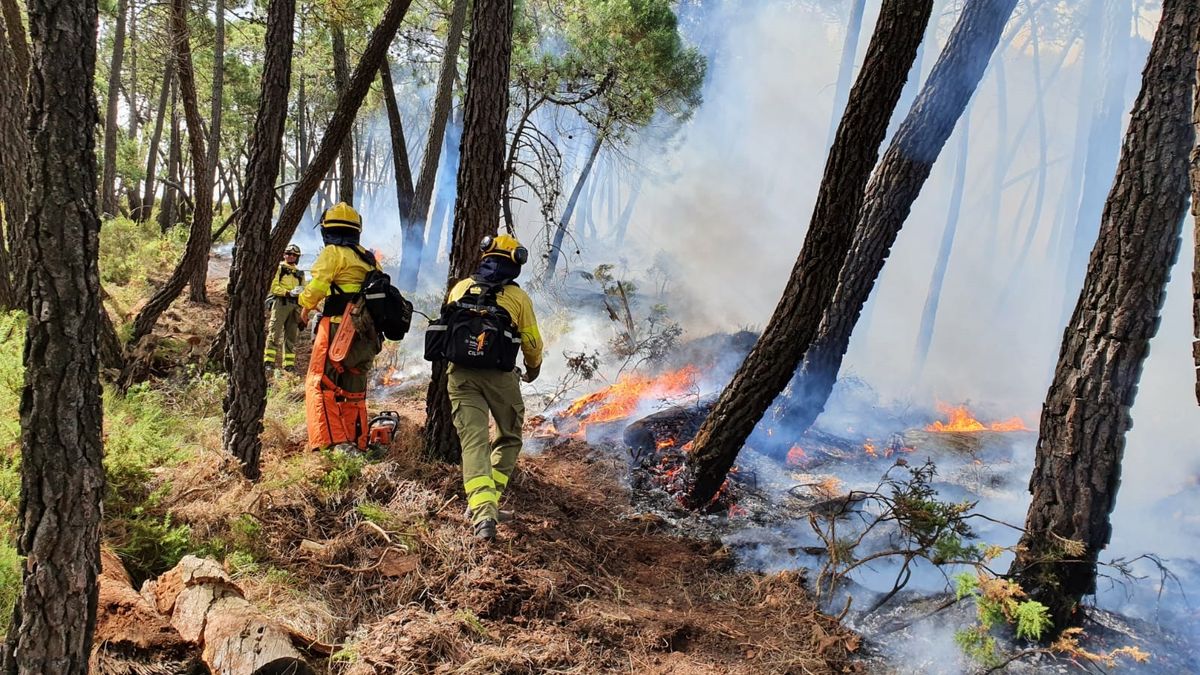 Bomberos forestales apagando las llamas en el incendio de Jubrique.