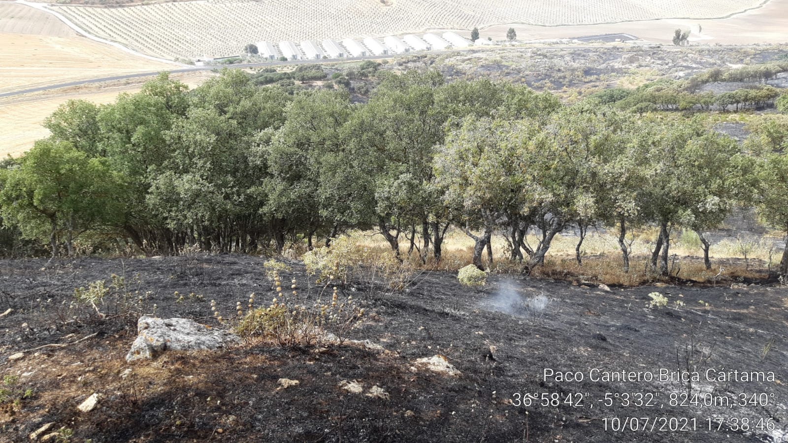 Efectivos del Infoca logran estabilizar otro incendio forestal declarado esta tarde en Cañete la Real