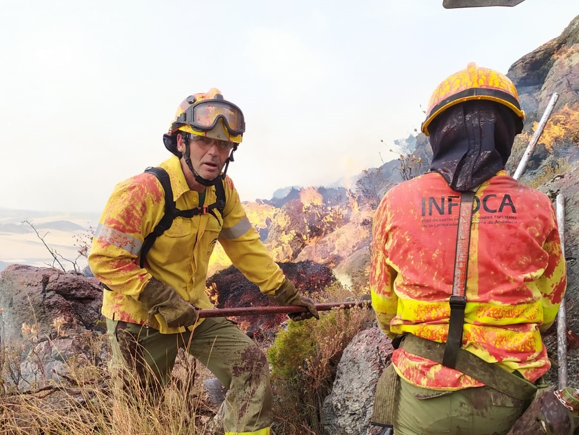 Efectivos del Plan Infocaen un incendio declarado en la Serranía de Ronda.