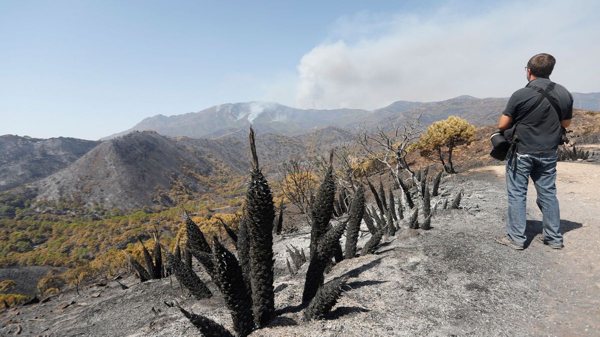 Las llamas han arrasado más de 10.000 hectáreas en esta zona natural.