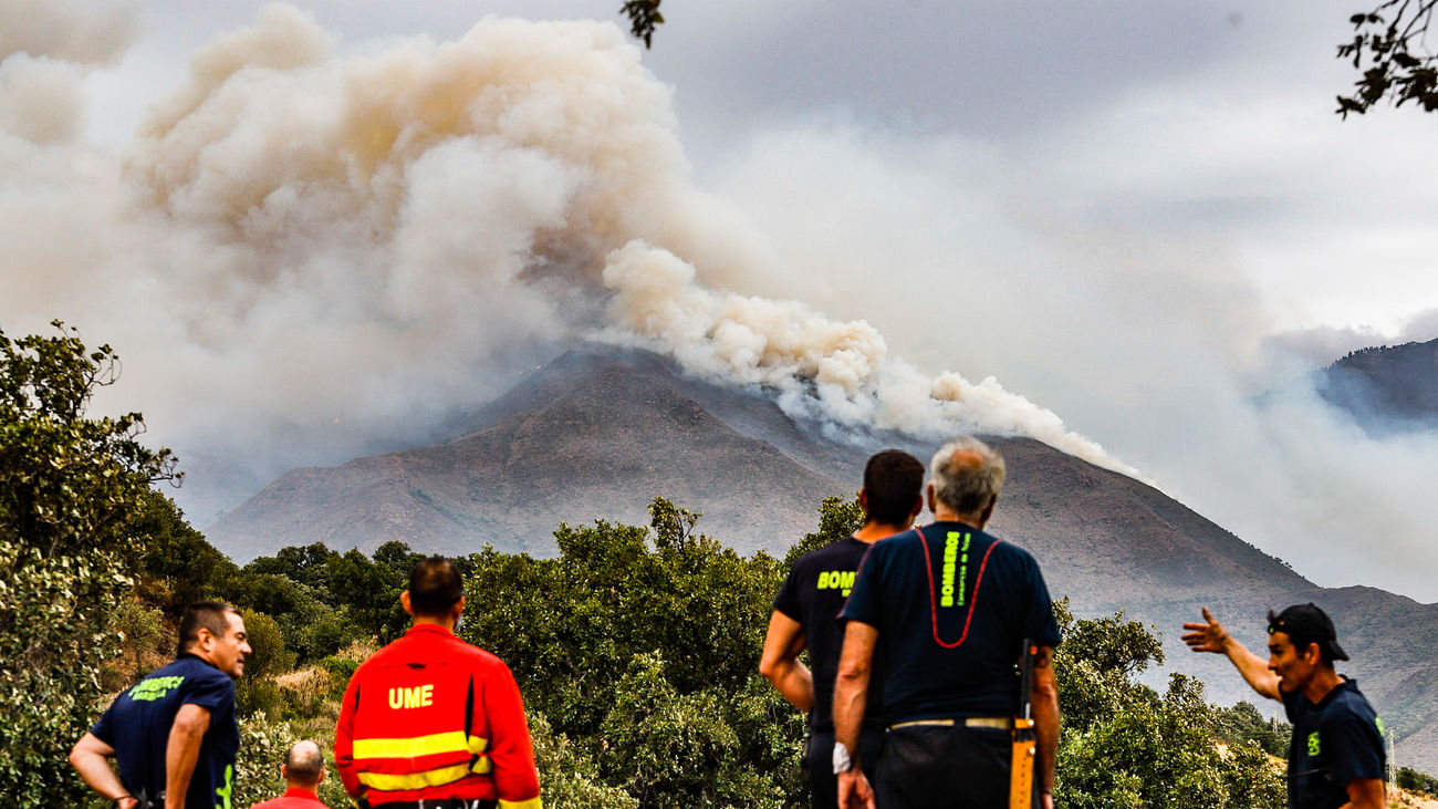 El incendio de Sierra Bermeja calcinó cerca de 10.000 hectáreas.