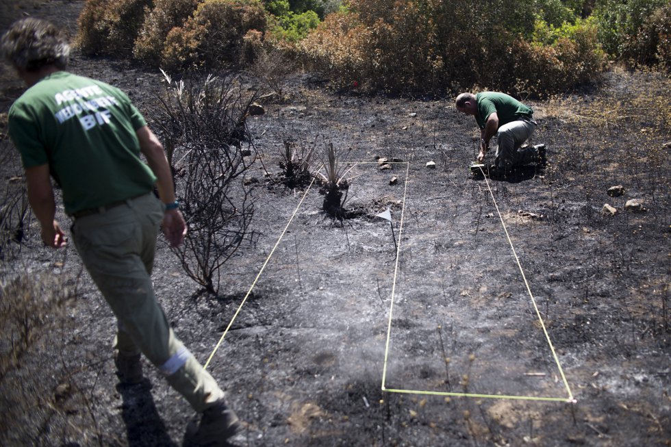 Técnicos del Plan Infoca investigan el origen del incendio en Sierra Bermeja.
