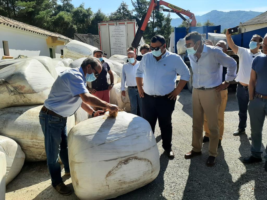 El delegado territorial de Agricultura y ganadería ha estado presente en la entrega del alimento.