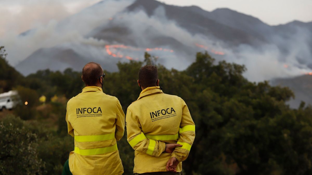 Dos bomberos del Infoca observan la evolución del incendio de Sierrqa Bermeja.