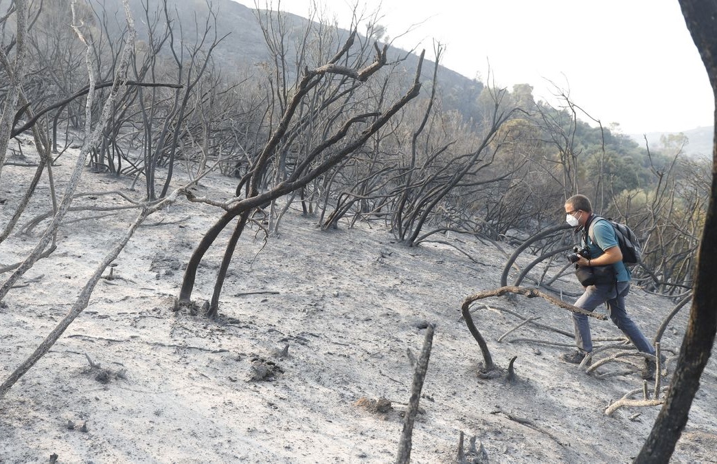 Muchos parajes de Sierra Bermeja han quedado completamente calcinados.