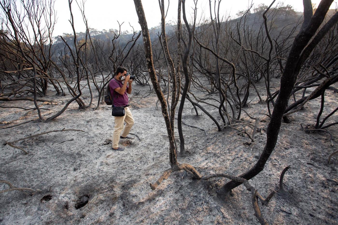 El incendio ha calcinado cerca de 10.000 hectáreas en Sierra Bermeja.