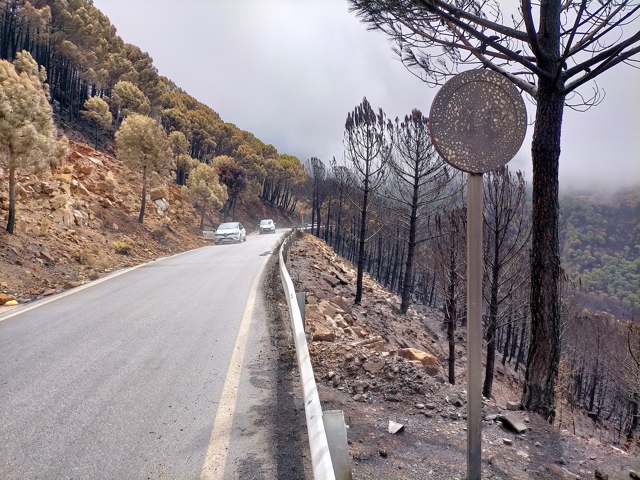 Imagen de una de las carreteras del Genal que se han visto afectadas por el incendio.